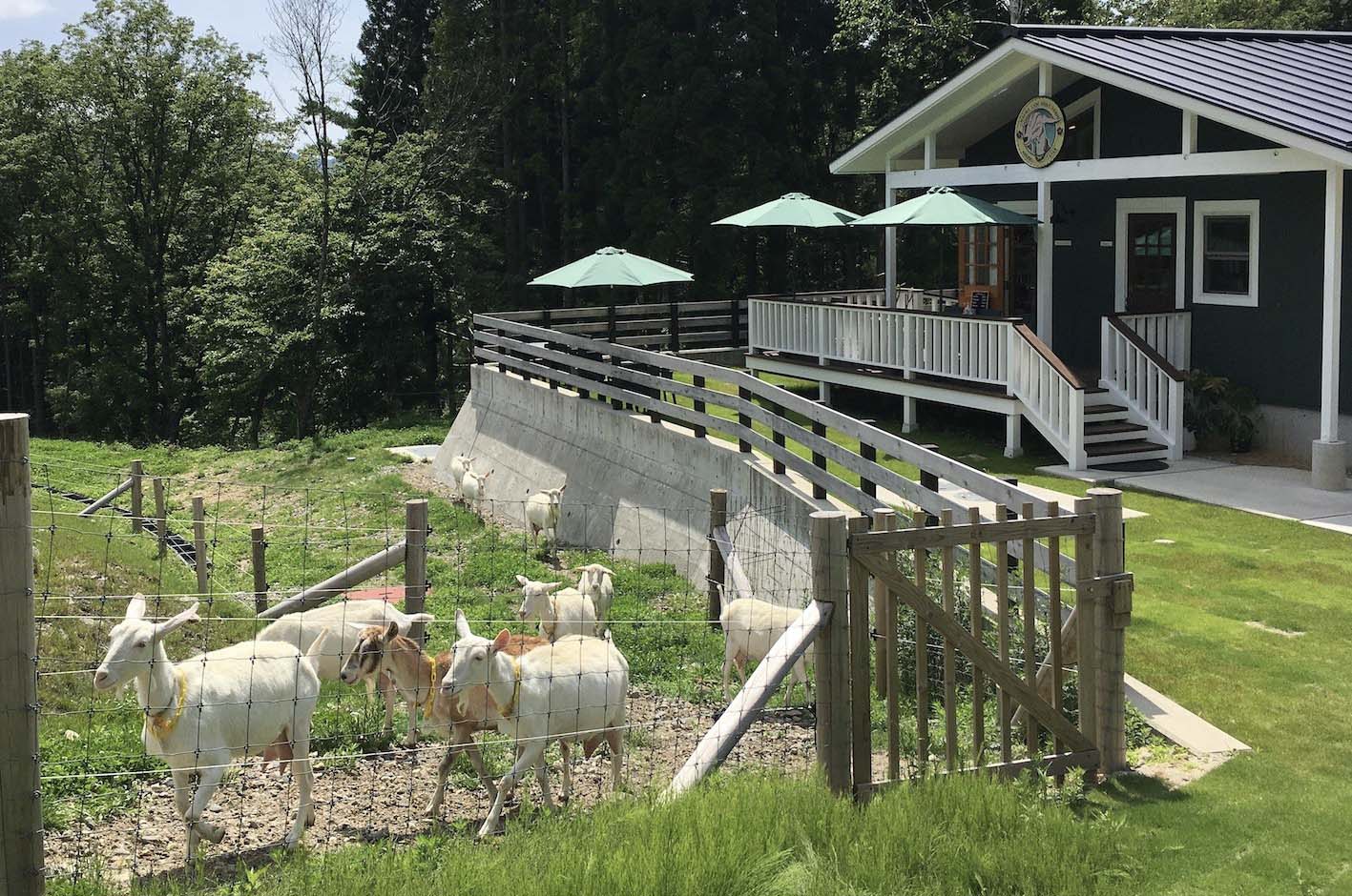 MAUKA LANI GOAT FARM